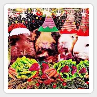 Guinea pig Christmas party! Sticker